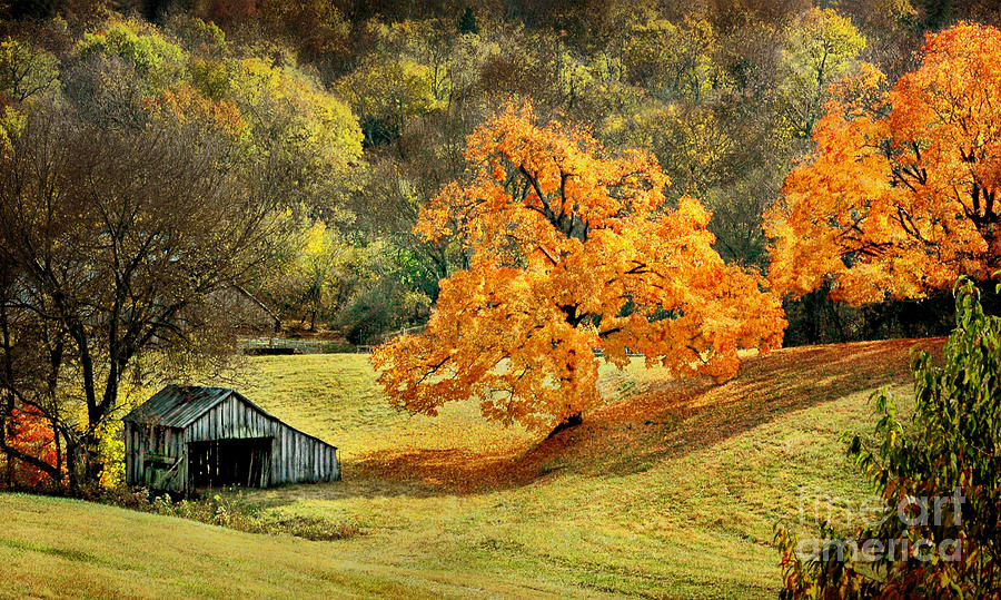 LEAF PEEPING NELLE SMOKIES IN TENNESSEE, STATI UNITI