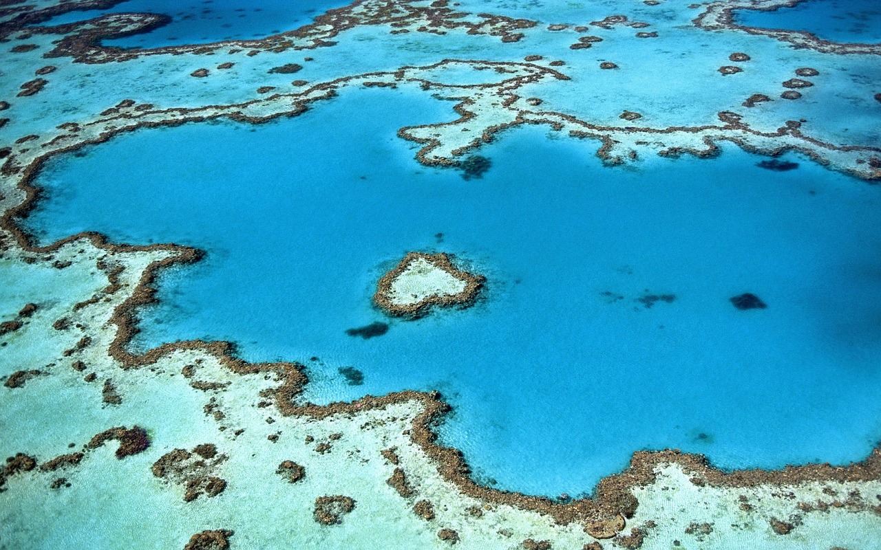 OLTRE LE SPIAGGE: LE BARRIERE CORALLINE PIU’ BELLE DEL MONDO, DAI CARAIBI ALLA POLINESIA!