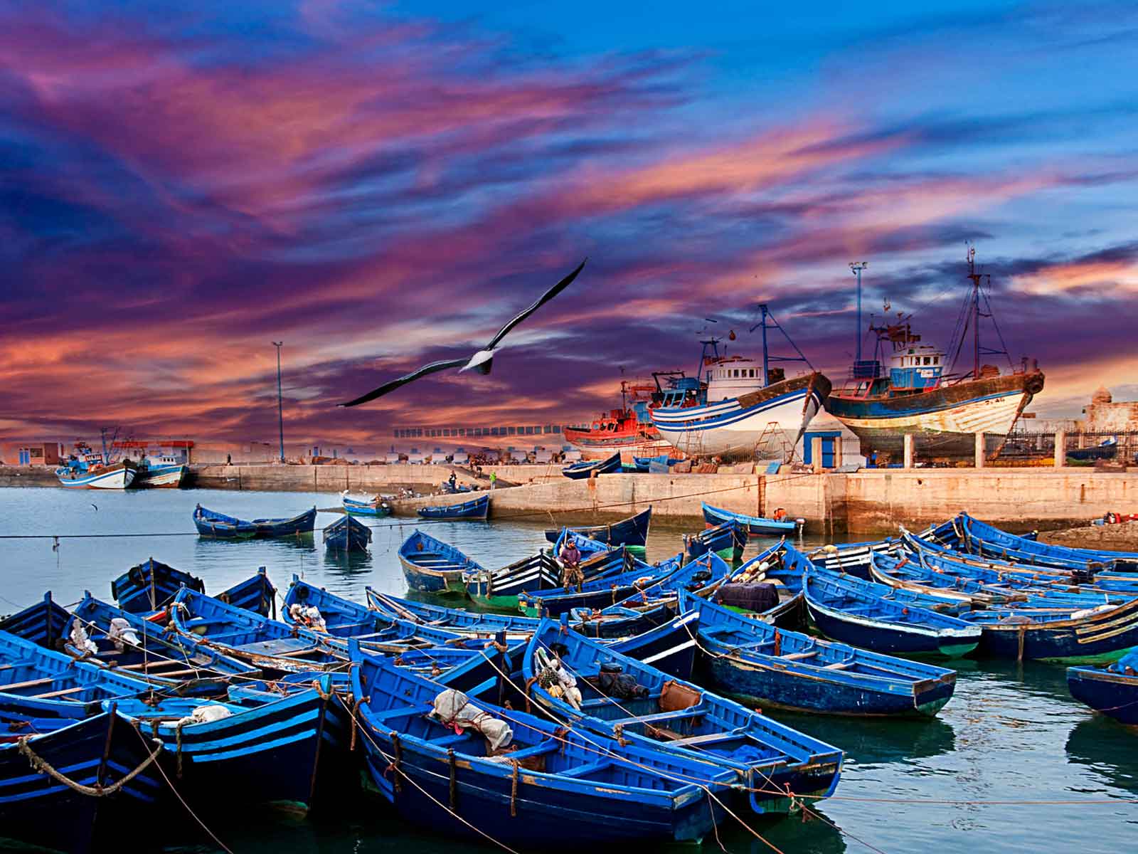 MAROCCO – L’ENERGIA DELL’OCEANO A ESSAOUIRA!