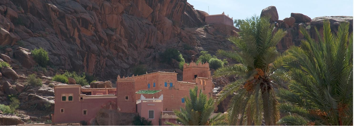 TROVA LA NATURA AD AGADIR IN MAROCCO!