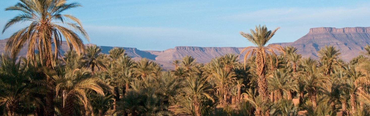 TAROUDANT: LA NUOVA MARRAKECH! MAGICO MAROCCO!