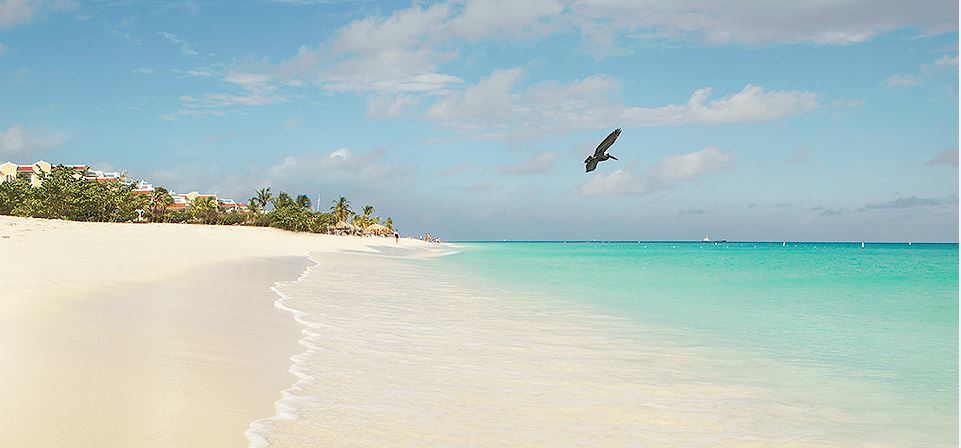 SALUTIAMO LA PRIMAVERA AD ARUBA AL MANCHEBO BEACH RESORT, CARAIBI