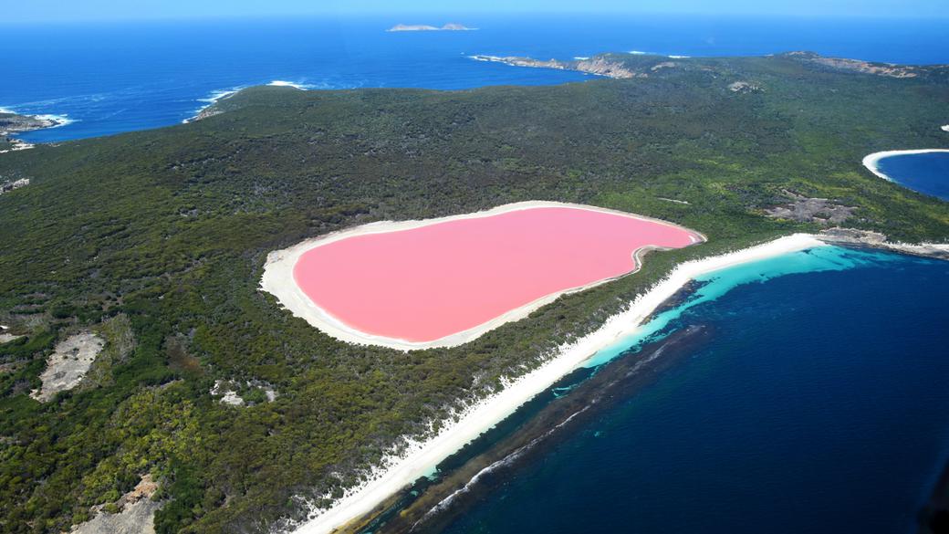 SCOPRIAMO IL MOTIVO PER CUI L’AUSTRALIA HA I LAGHI ROSA – IL COLORE DELLE GOMME DA MASTICARE!