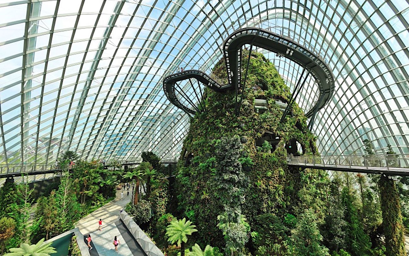 GIARDINI VERTICALI: DA MILANO A SINGAPORE