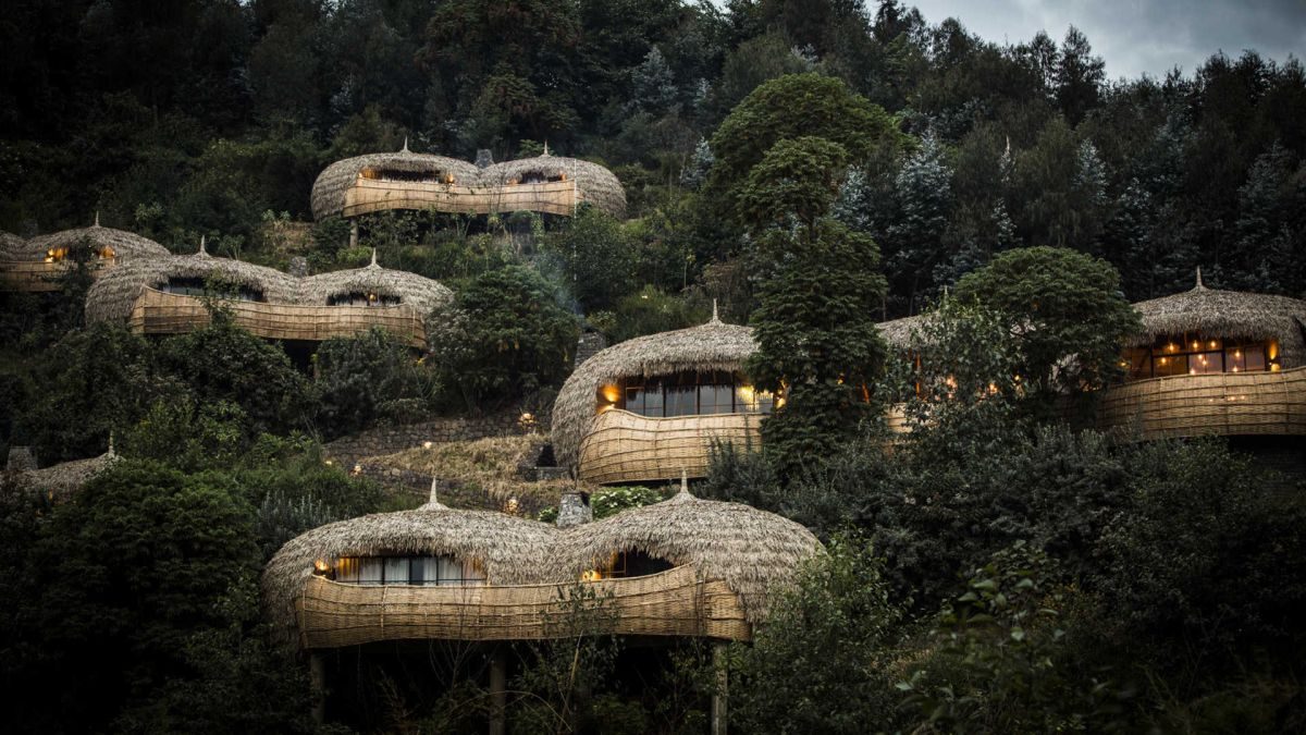 BISATE LODGE IN RWANDA: ALLA SCOPERTA DI UNO DEI PIÙ RICCHI HOTSPOT DI BIODIVERSITÀ DELL’AFRICA