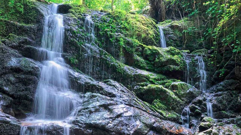 ECOTURISMO IN SPAGNA: FUENTES DE NARCEA