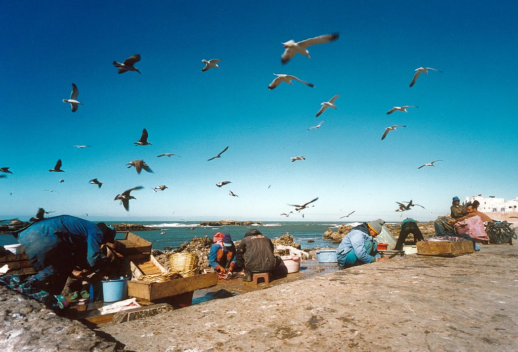 MAROCCO – ESSAOUIRA: DALL’OCEANO ALLE BARCHE È TUTTO BLU!