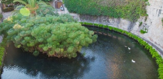 Siracusa Tra Storia E Mito Riapre La Fonte Aretusa