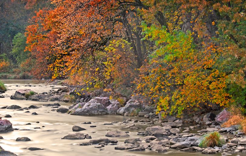 SAPORI D’AUTUNNO NEL WEST DEGLI STATI UNITI