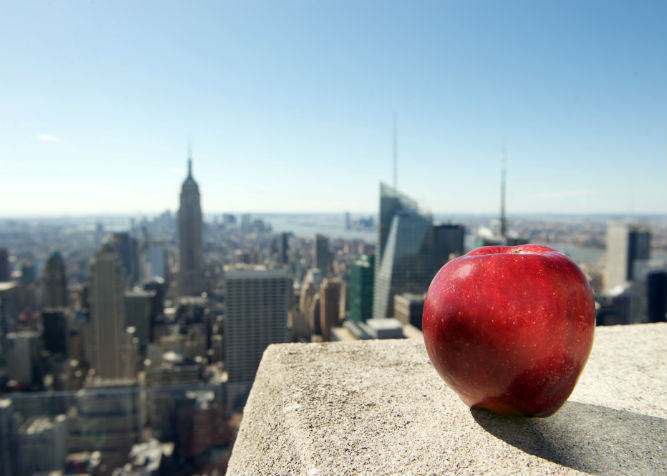 PERCHÉ NEW YORK, STATI UNITI, VIENE CHIAMATA LA GRANDE MELA?