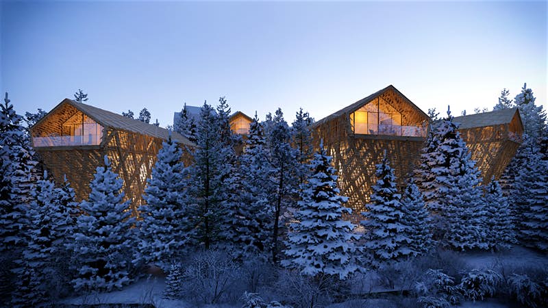 TRASCORRI LA NOTTE IN UNA CASA SUGLI ALBERI DELLE FORESTE NELLE ALPI IN AUSTRIA