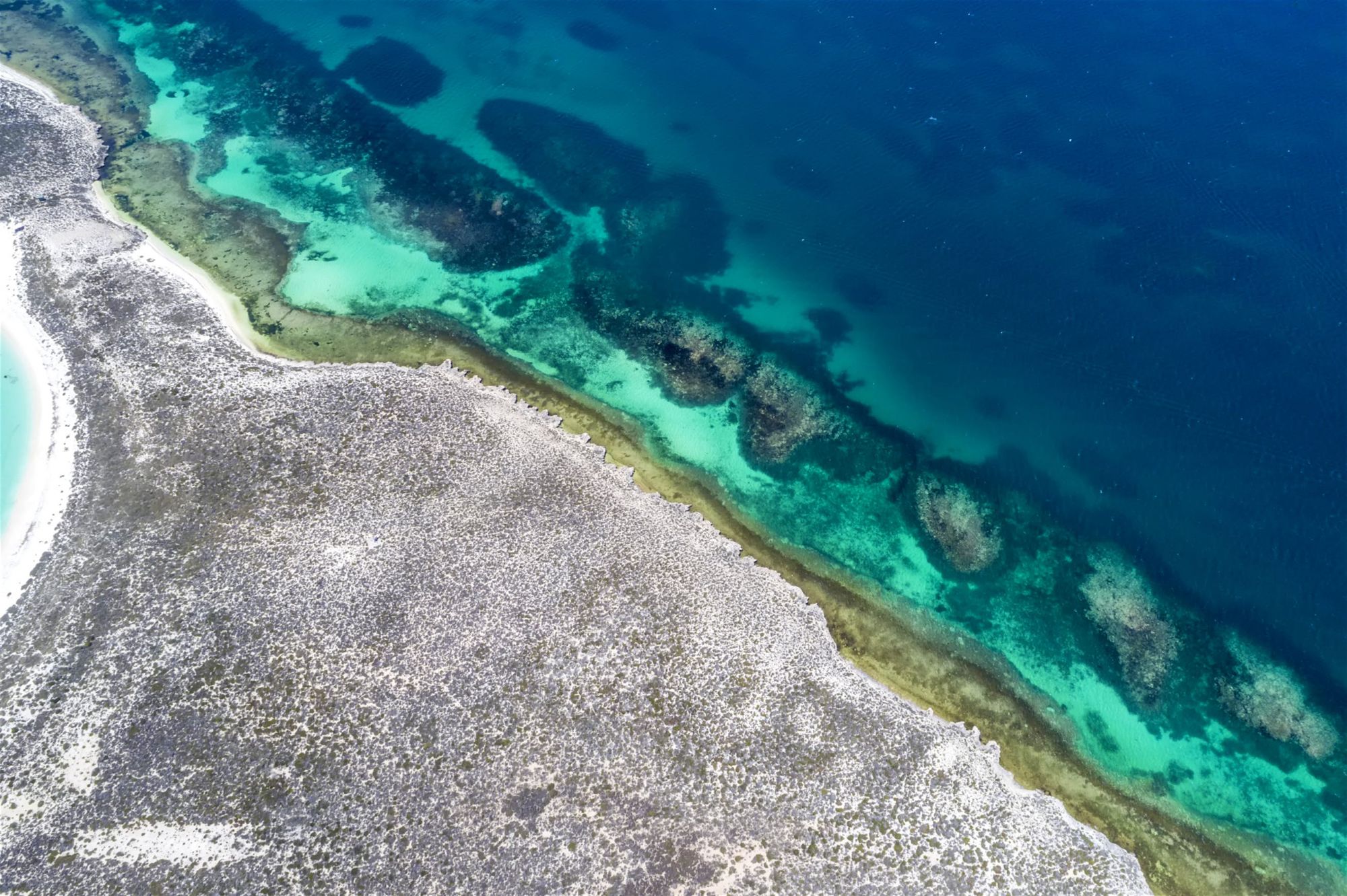 L’HOUTMAN ABROLHOS: UNO STRAORDINARIO PARCO MARINO NELL’AUSTRALIA DELL’OVEST