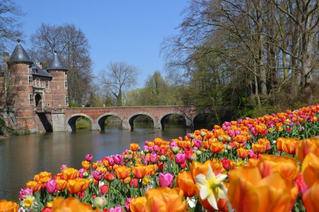 FIANDRE, BELGIO: ecco come immergersi nella loro bellezza direttamente da casa