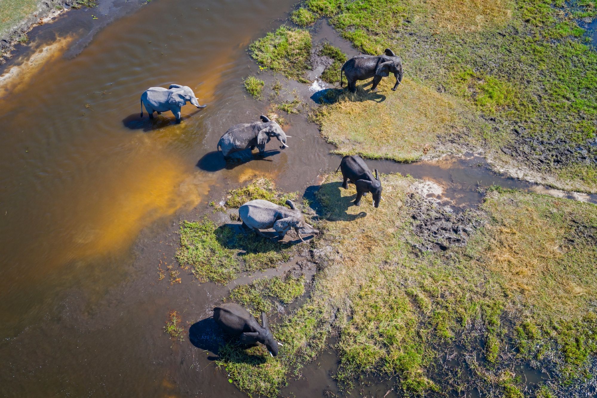 BOTSWANA: L’INCREDIBILE DELTA DELL’OKAVANGO