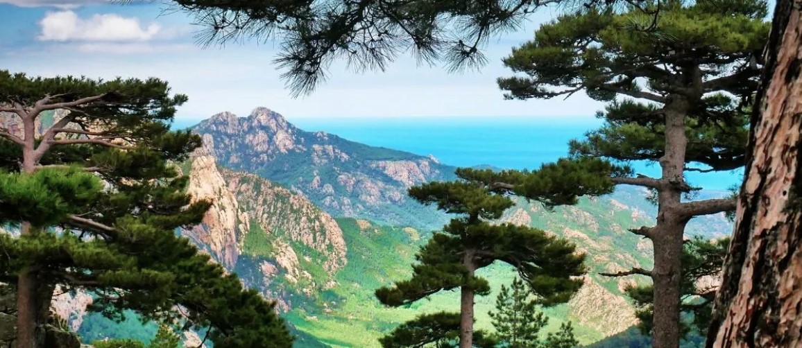 CORSICA: L’ISOLA VERDE DELLA FRANCIA