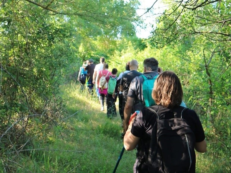 PARCO DI MIGLIARINO SAN ROSSORE: ALLA SCOPERTA DEL BOSCO INSIEME AL WWF (ITALIA)