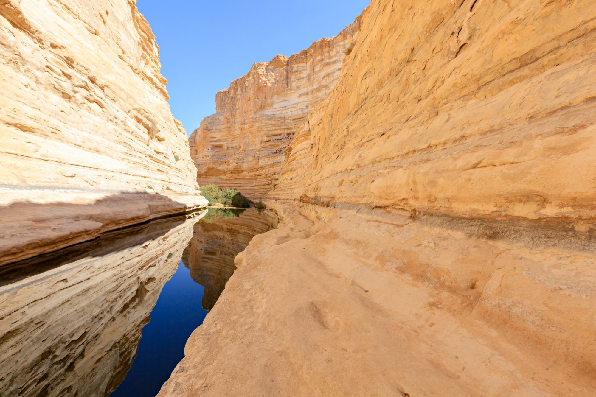 L ANTICA VIA DELL INCENSO DAL DESERTO DEL NEGEV ALL OMAN IN UN VIAGGIO 