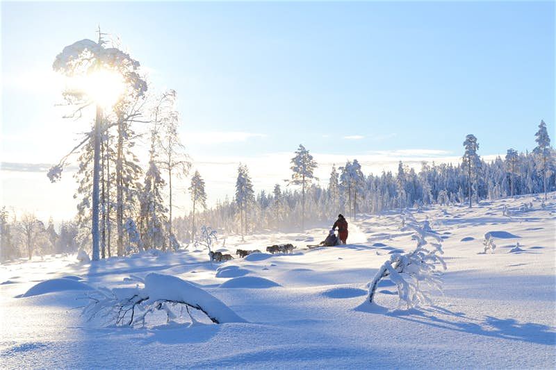 LA NATURA SELVAGGIA IN FINLANDIA