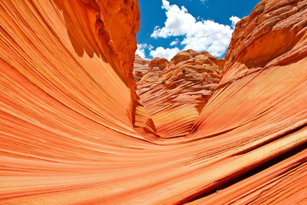 IN VIAGGIO NEI COLORI AVVOLTI DI ARANCIONE