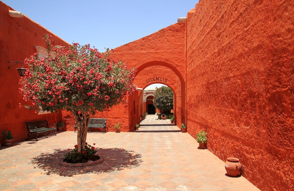 IN VIAGGIO NEI COLORI LA FORZA DEL ROSSO