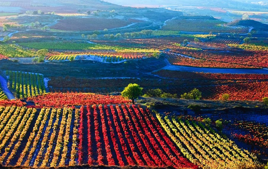 IN VIAGGIO NEI COLORI LA FORZA DEL ROSSO