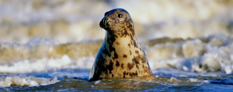 NOVEMBRE IN EUROPA PER UN’IMMERSIONE NELLA NATURA
