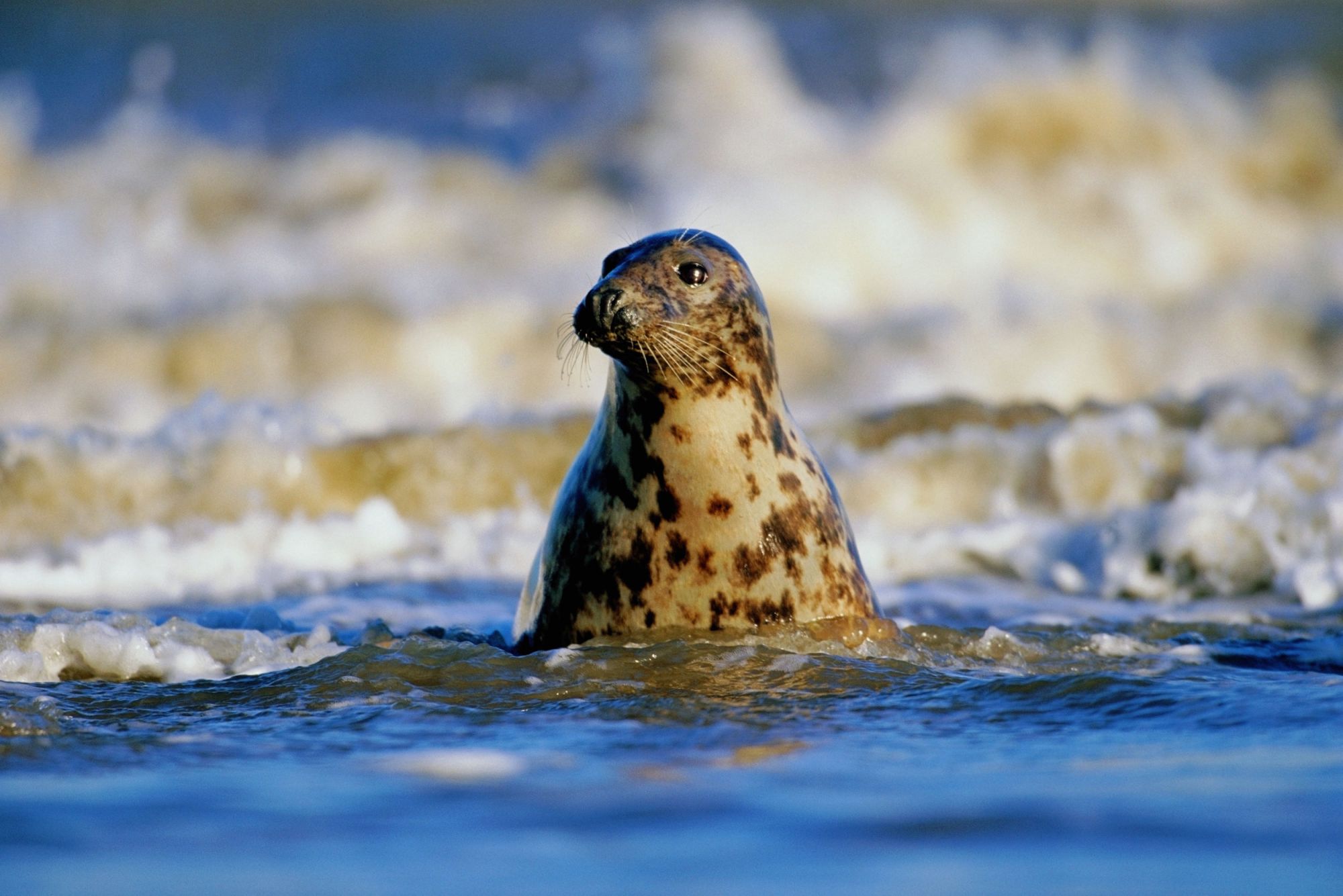 NOVEMBRE IN EUROPA PER UN’IMMERSIONE NELLA NATURA