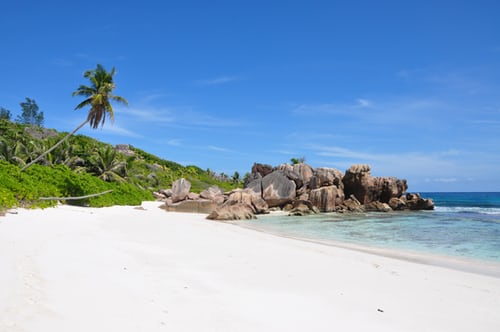 SEYCHELLES - IL COCO DE MER, IL FRUTTO PROIBITO DELL’EDEN