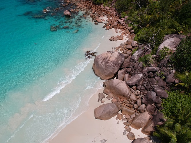 SEYCHELLES - IL COCO DE MER, IL FRUTTO PROIBITO DELL’EDEN