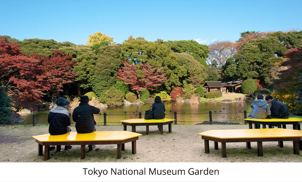 TOKYO -  I PARCHI E I GIARDINI DELLA CITTÀ