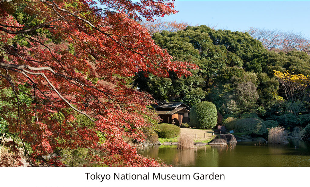 TOKYO -  I PARCHI E I GIARDINI DELLA CITTÀ