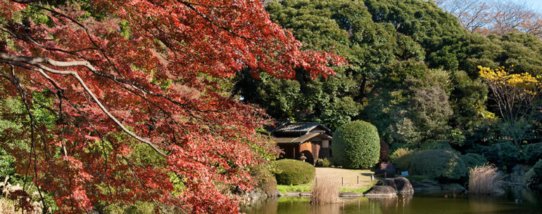 TOKYO - I PARCHI E I GIARDINI DELLA CITTÀ GIAPPONESE
