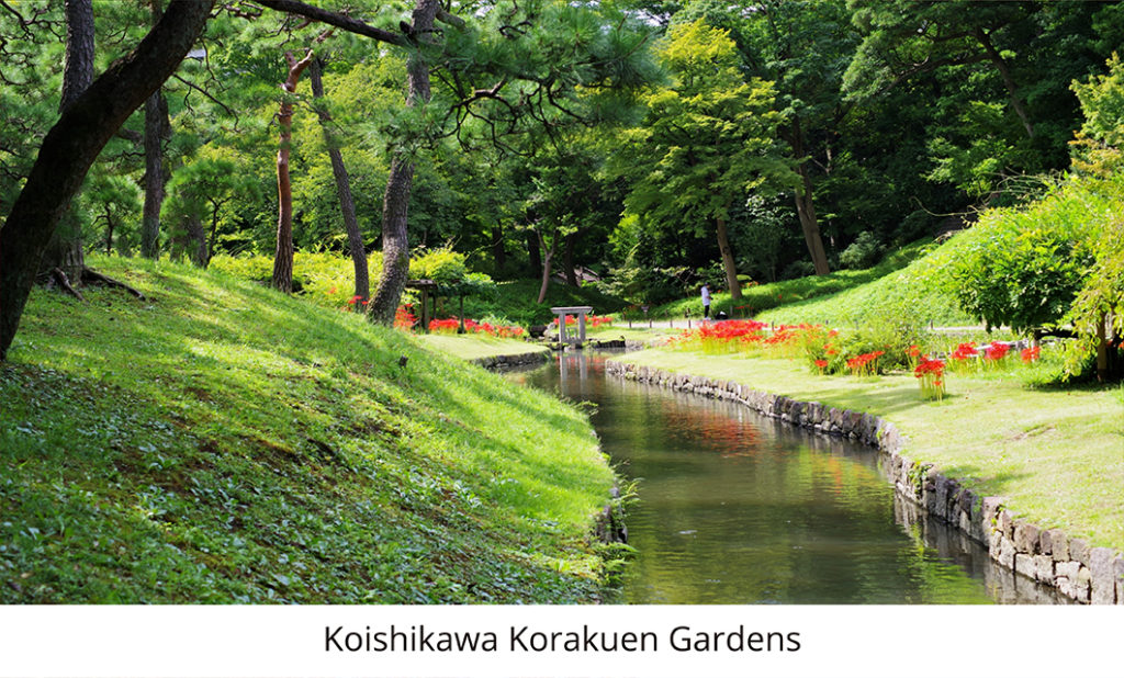 TOKYO -  I PARCHI E I GIARDINI DELLA CITTÀ