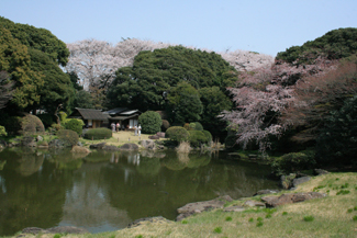 TOKYO -  I PARCHI E I GIARDINI DELLA CITTÀ