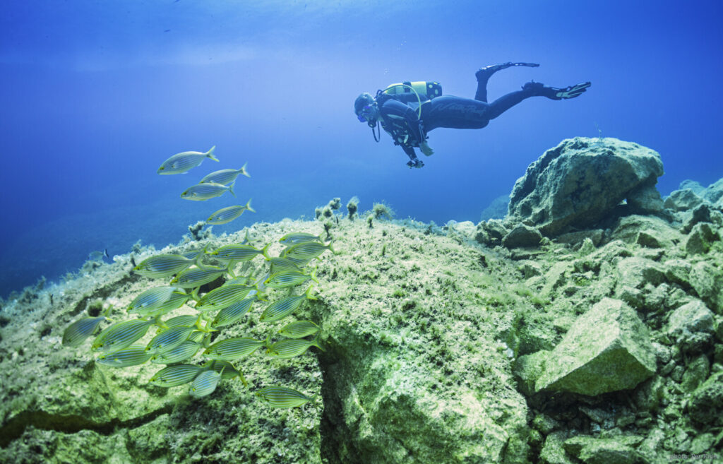 Malta, un paradiso per le immersioni