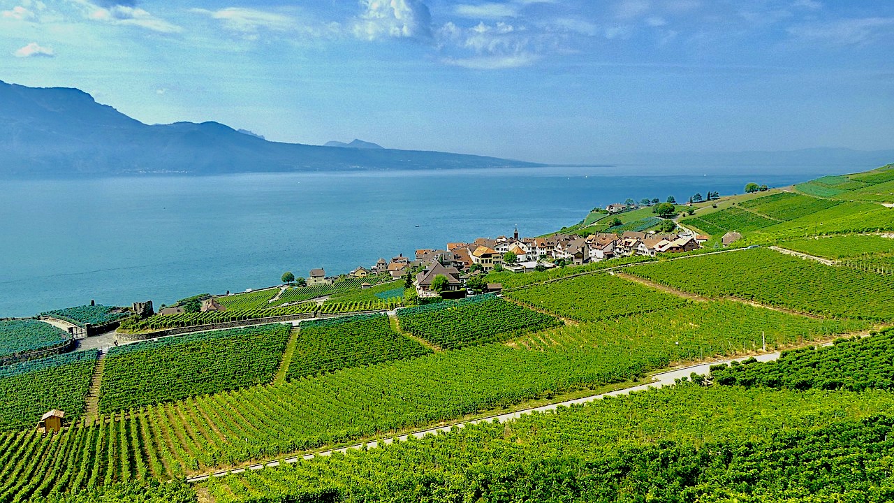 La natura, l’armonia, l’architettura, il lago e …il vino! Ecco a voi Losanna