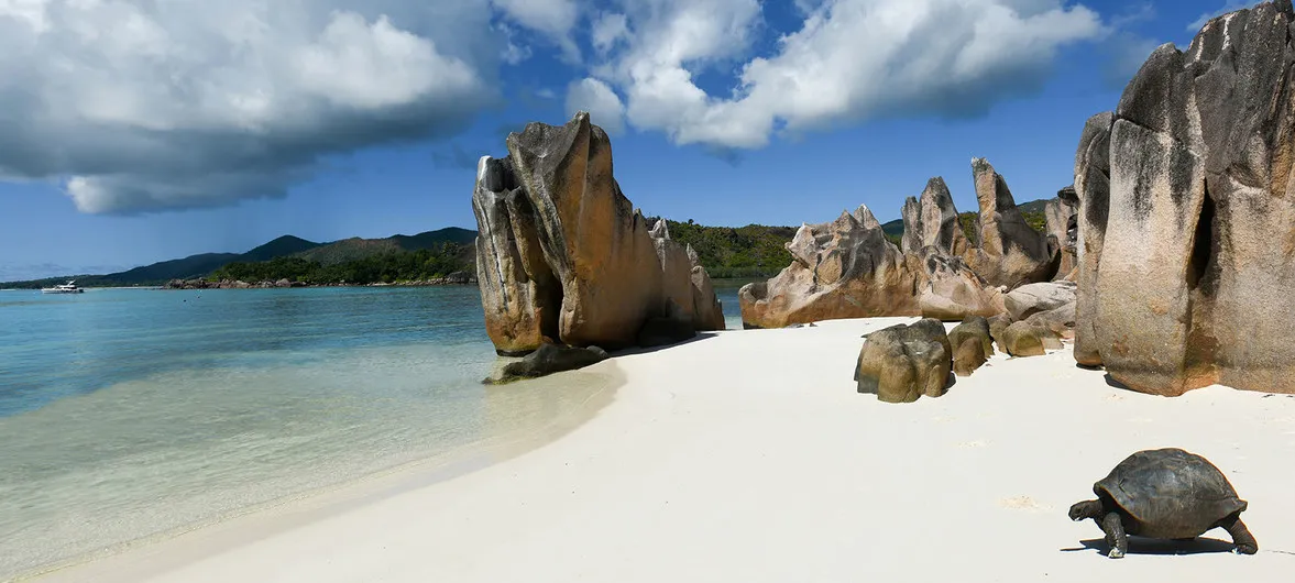 SEYCHELLES: AUMENTO DEGLI ARRIVI NEL 2021. SPERANZE DAI CORRIDOI TURISTICI