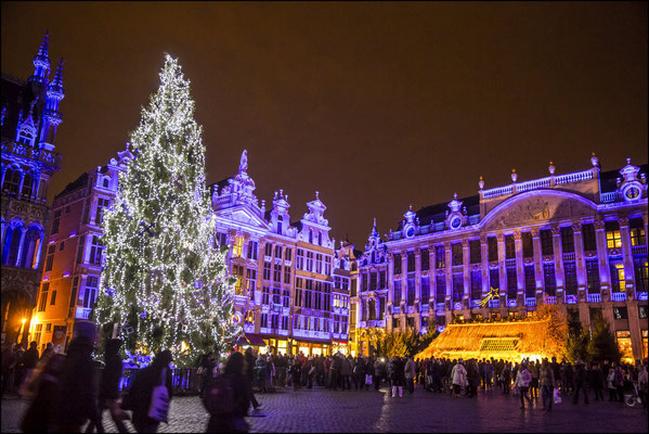 BRUXELLES: VERSO IL 2022 CON TANTE NOVITA’