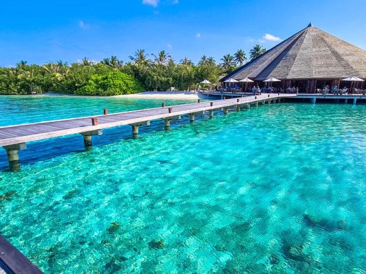 CONSIDERAZIONI (AMARE) DI UN ADV DI RITORNO DALLE MALDIVE: IL PRIMA IL DOPO E UN PO’ DI DURANTE.