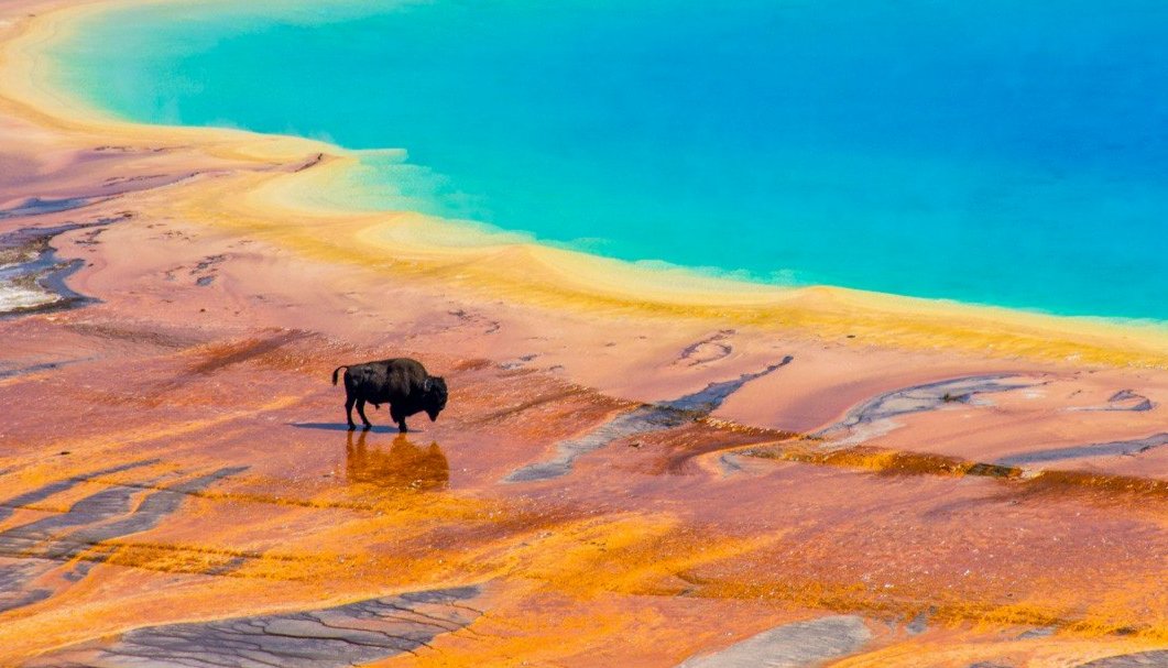 BUON 150°COMPLEANNO YELLOWSTONE NATIONAL PARK