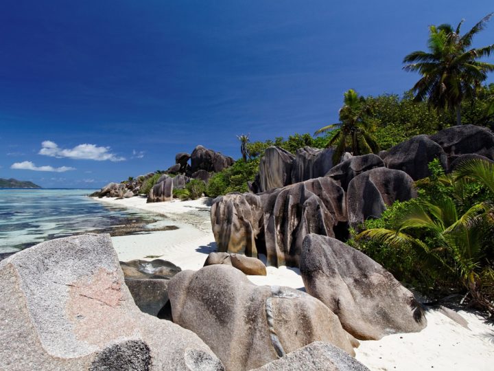 SEYCELLES: SODDISFAZIONE PER LE CIFRE 2021