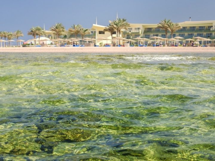 Barceló Tiran Sharm: un paradiso a 5 stelle sul Mar Rosso in Egitto!