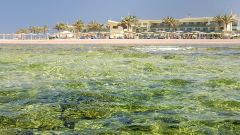 Barceló Tiran Sharm: un paradiso a 5 stelle sul Mar Rosso in Egitto!