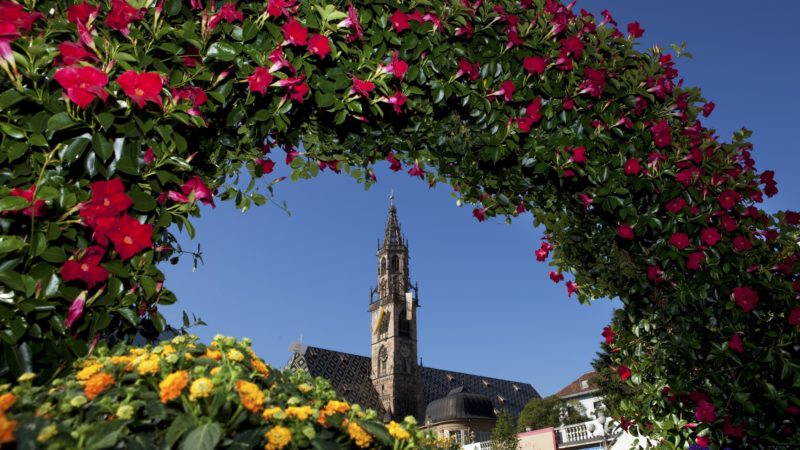 LA PRIMAVERA IN FIORE DI BOLZANO