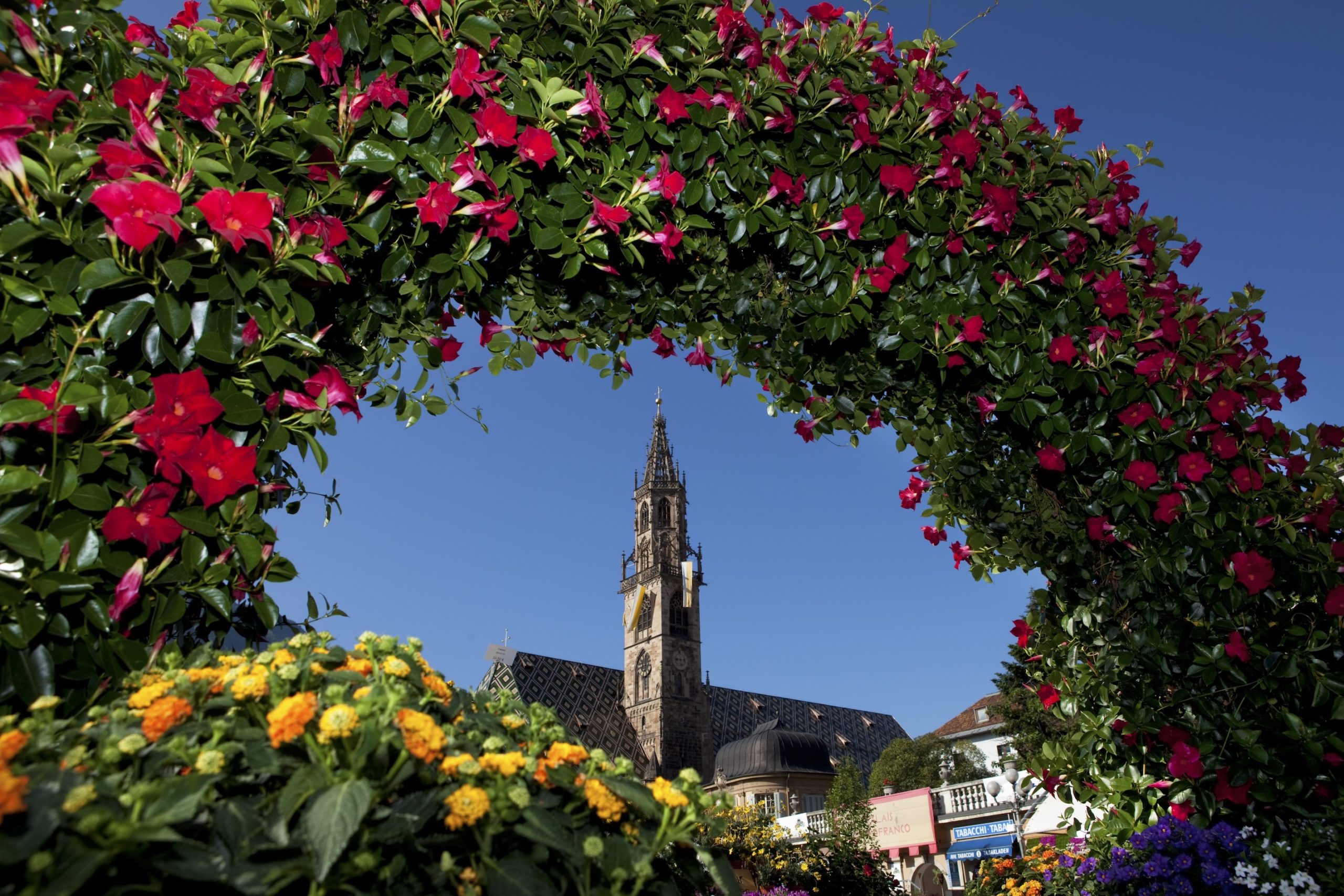 LA PRIMAVERA IN FIORE DI BOLZANO