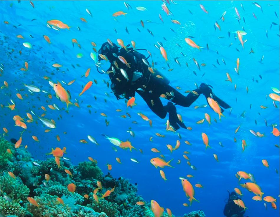 Iberotel Costa Mares