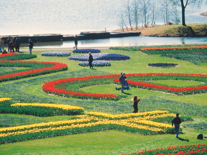 CON BOSCOLO TOURS ALL’EXPO FLORIADE