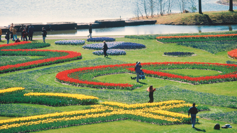 CON BOSCOLO TOURS ALL’EXPO FLORIADE