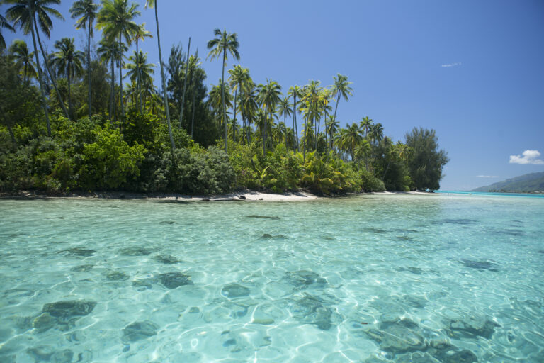 Isole di Tahiti