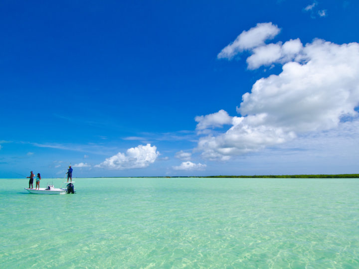 Isole Vergini Britanniche: scopriamo le più belle spiagge dei Caraibi!